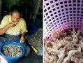 剔骨鸡爪爆料视频,视频爆料背后的真相