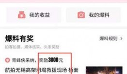今日头条山东爆料视频大全,聚焦民生热点，揭示社会现象