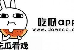 各种网红吃瓜黑料图,揭秘网络红人的真实一面